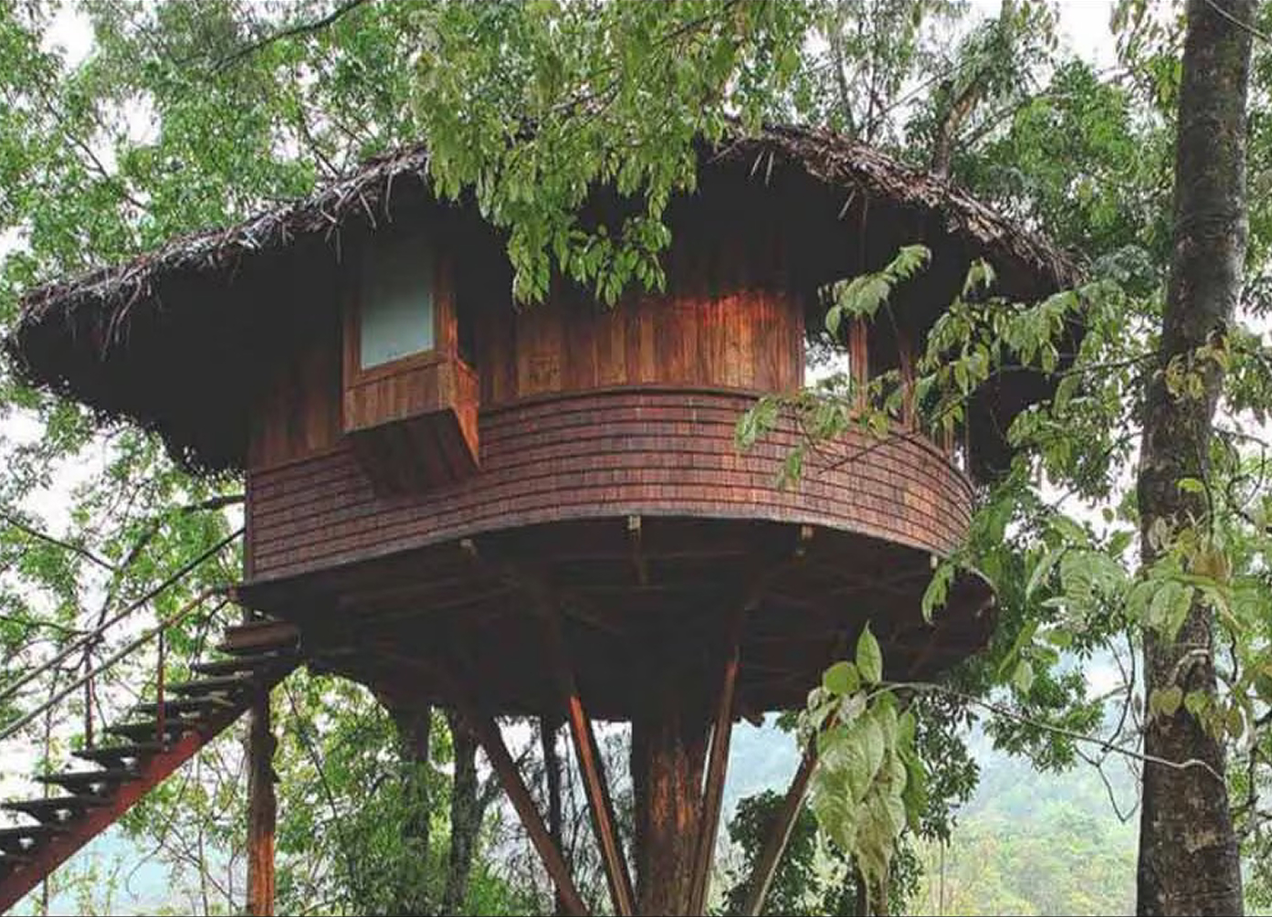 Skyview Tree House